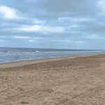 Manuela
